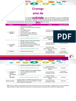 Cronograma de Actividades MOOC