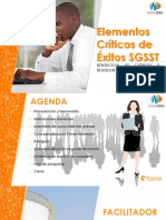 Elementos Criticos Del Sg-Sst-Rendicion de Cuentas 2019a