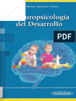 Neuropsicología Del Desarrollo PDF