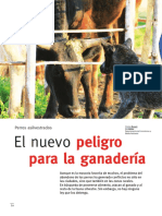 Peligro Ganaderia