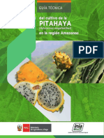 Pitahaya PDF