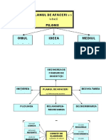 plan de afaceri