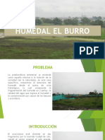 Humedal El Burro