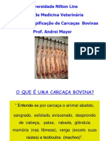 Avaliação de carcaça para vet aula 3,5.pdf