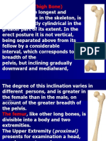 The Femur: Anatomy of the Thigh Bone