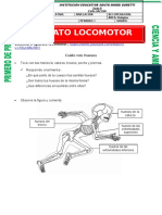 Aparato Locomotor Primera - Semana