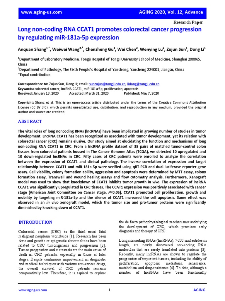 Long Non-Coding RNA CCAT1 Promotes Colorectal Cancer Progression | PDF ...