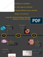 Linea Del Tiempo-Desarrollo Humano