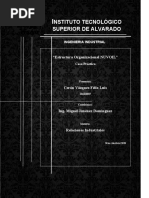 estructura organizacional nuvoil