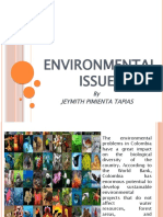 Environmental Issues: by Jeymith Pimienta Tapias