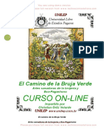 Hierbas Medicinales Bruja Verde.pdf