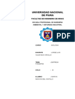 Informe Fondepes - Piura - Unp