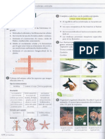 02. ACTIVIDAD ESTIMULOS EN PLANTAS Y ANIMALES.pdf