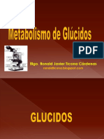 Metabolismo de Glucidos