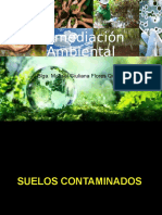 Remediación Ambiental - I - Semana 1 y 2