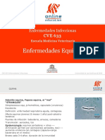 Enfermedades en Equinos.pdf