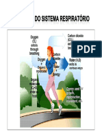 mecanica_da_ventilacao_pulmonar_2010.pdf