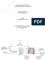 SME - Unión Neuromuscular y Paralelo