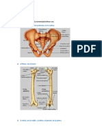 Fisiología