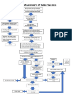 pathophysiology of tuberculosis