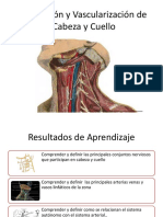 Clase 17 Inervacion y Vascuarizacion Cabeza y Cuello