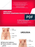 Anatomia y Fisiologia Urologica