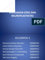 Kerusakan Otak Dan Neuroplastisitas 2