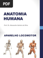 Sistema Locomotor.pdf