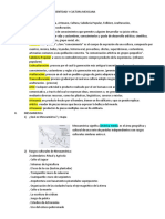 Temario Primer Parcial