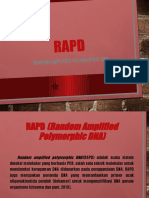 RAPD Kel 6