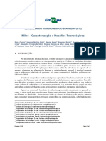 Desafios tecnológicos e oportunidades para o mercado do milho no Brasil e no mundo