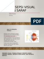 PERSEPSI VISUAL DAN SARAF