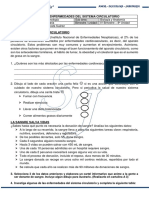 SISTEMA CIRCULATORIO - Enfermedades