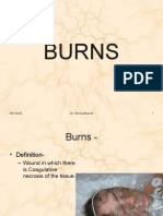 BURNS-1