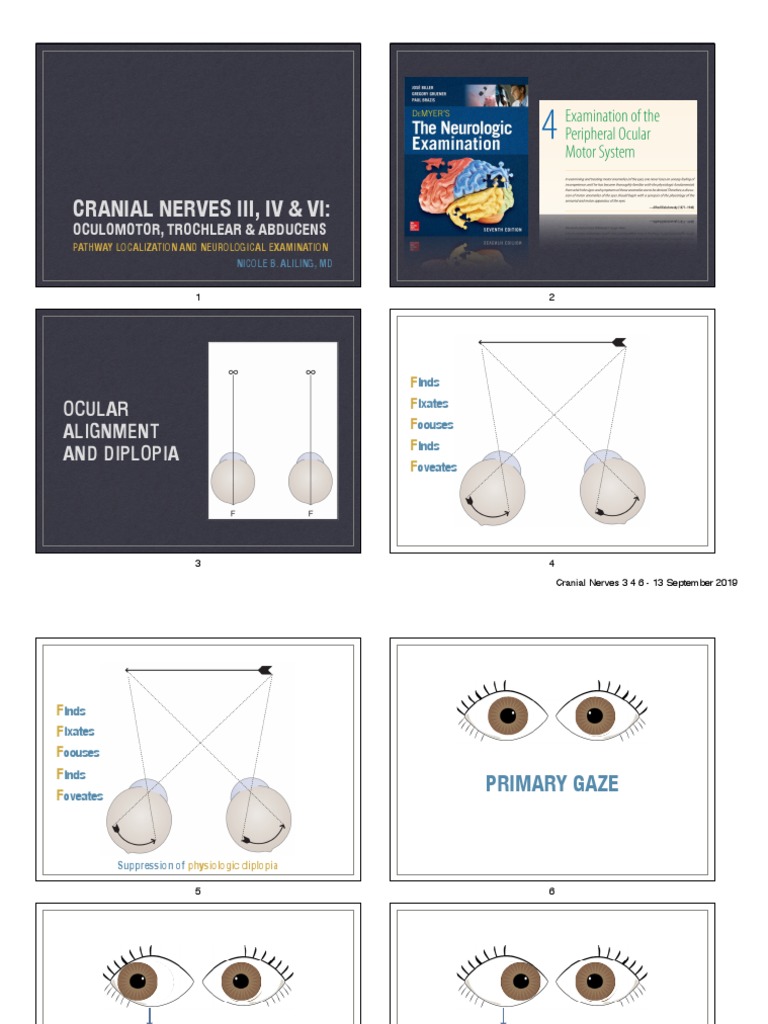 Cranial Nerves 3 4 6 Handout | PDF | Senses | Eye