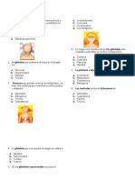 taller del video sistema endocrino tercero