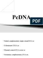 PC DNA