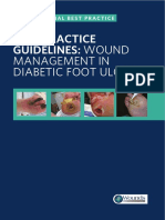 Best Practice Guidelines Wound Management Diabetic Foot Ulcers PDF