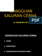 GANGGUAN SALURAN CERNA BambangEdi Blok 13