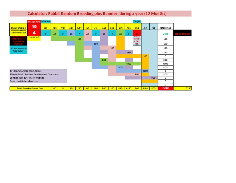 Rabbit Breeding Calculator Overview | PDF
