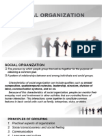 Social Organization