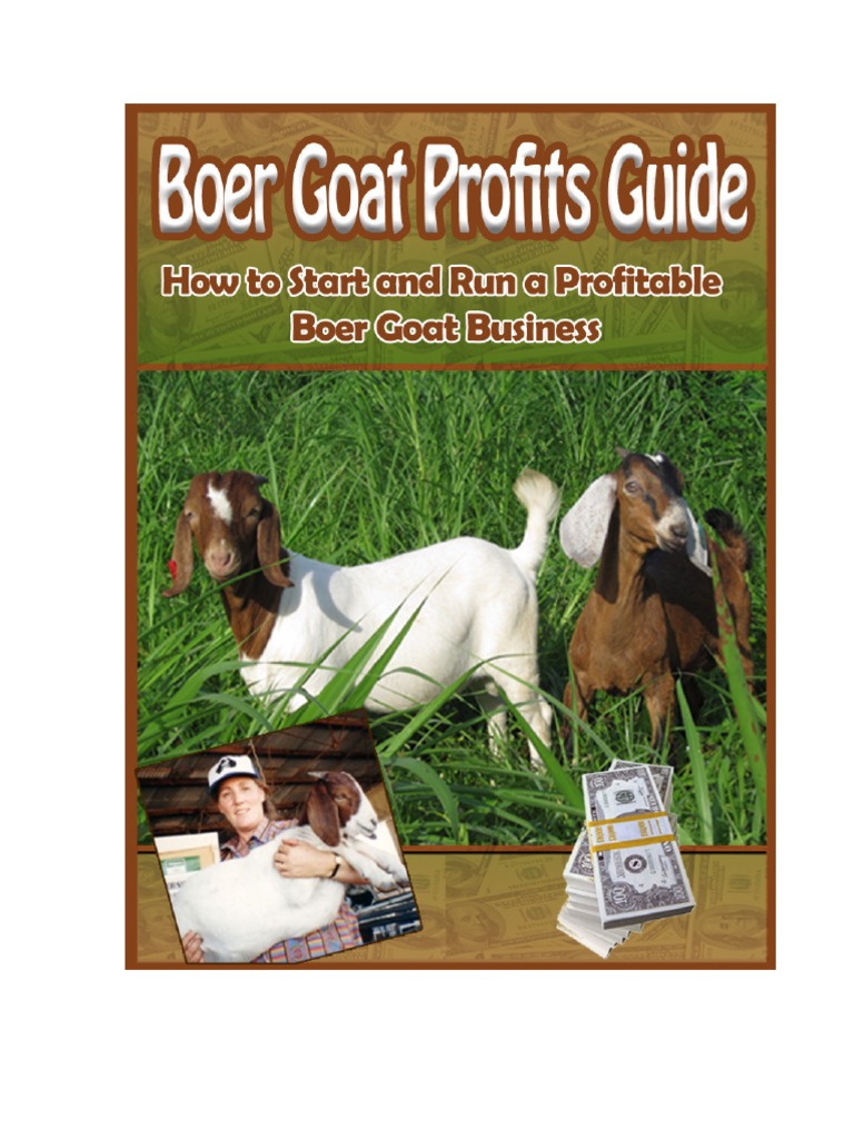 Boer Goat Business Plan PDF Goat Investing