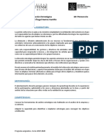 Dirección Estratégica - Programa PDF