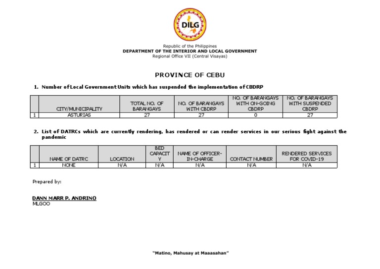 Cebu Local Government CBDRP Status Report | PDF