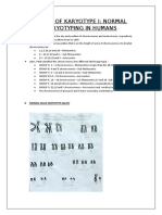 Study of Karyotype I: Normal Karyotyping in Humans