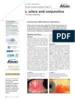 The Episclera, Sclera and Conjunctiva