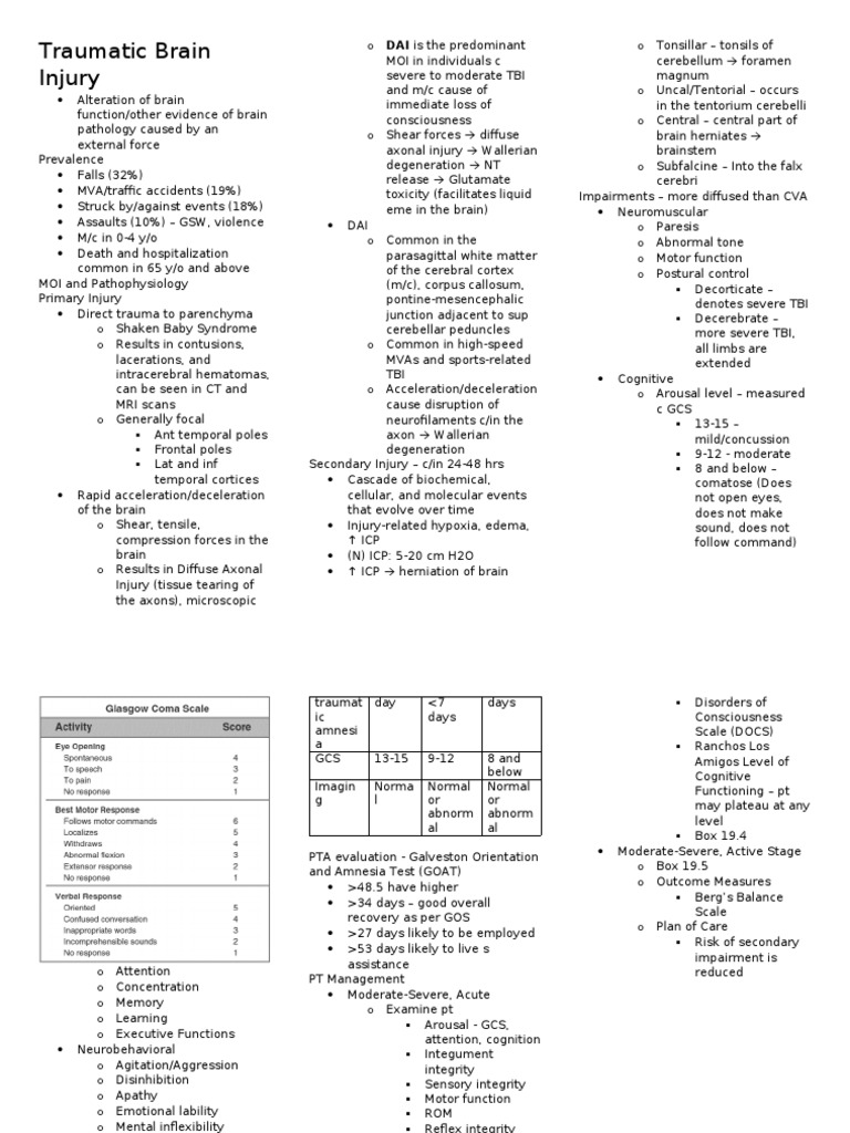 Traumatic Brain Injury | PDF | Traumatic Brain Injury | Human Head And Neck
