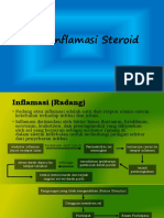 antiinflamasisteroid-160408182411.pdf