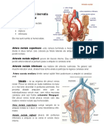 Vascularizatia Rectului