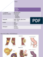 Oculzii intestinale.pdf